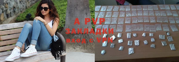 шишки Белоозёрский