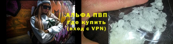 шишки Белоозёрский