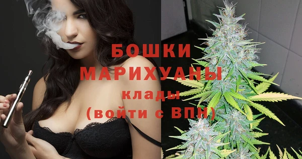 шишки Белоозёрский