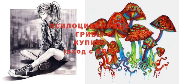 шишки Белоозёрский