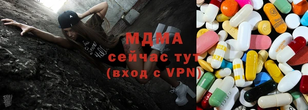 сатива Белокуриха