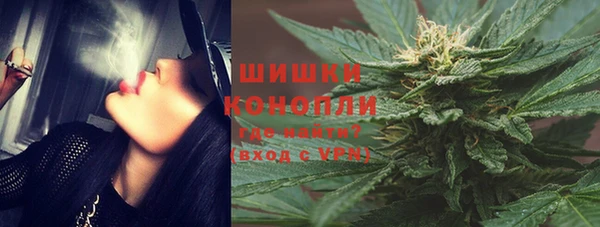 шишки Белоозёрский