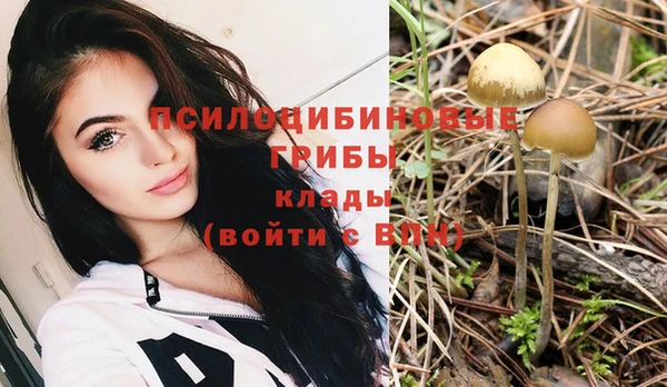 мескалин Беломорск