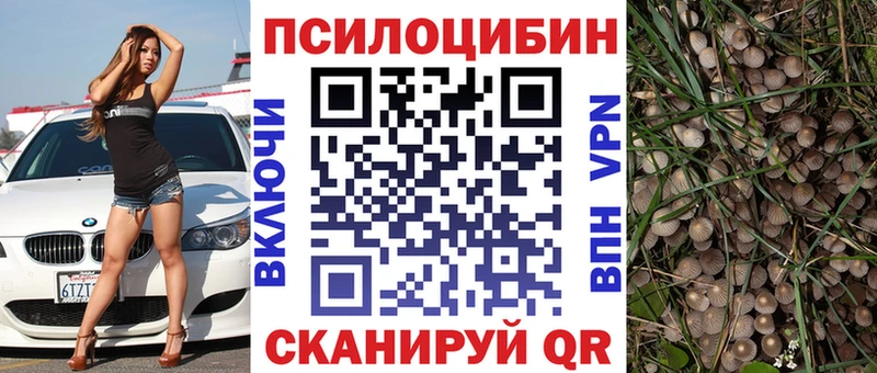 KRAKEN маркетплейс цены наркотик Короча Псилоцибиновые грибы мухоморы